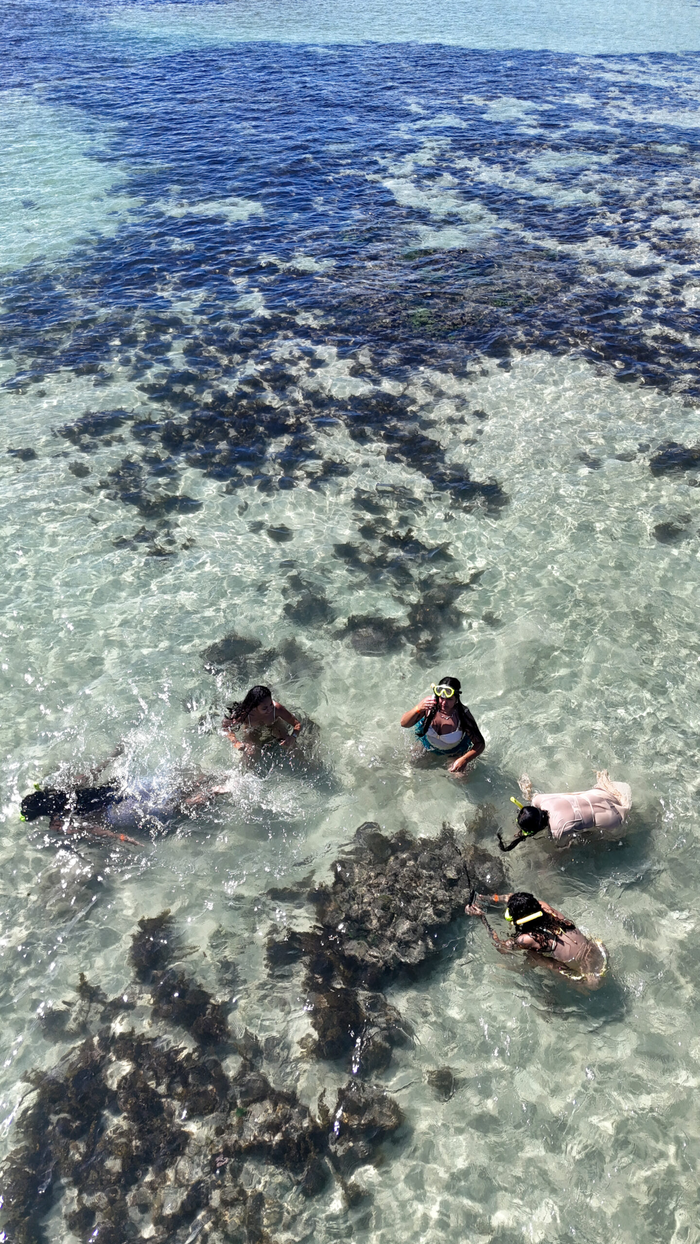 Paisagem de Porto de Galinhas